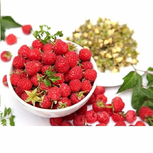 Hạt giống mâm xôi đỏ gói 30 hạt xuất xứ Việt Nam - KC82CD