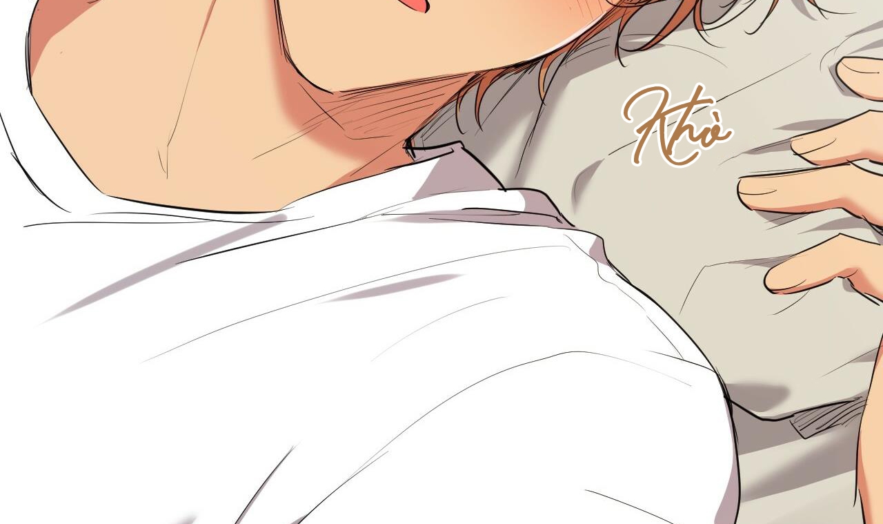 đàn thỏ của habibi chapter 39 50