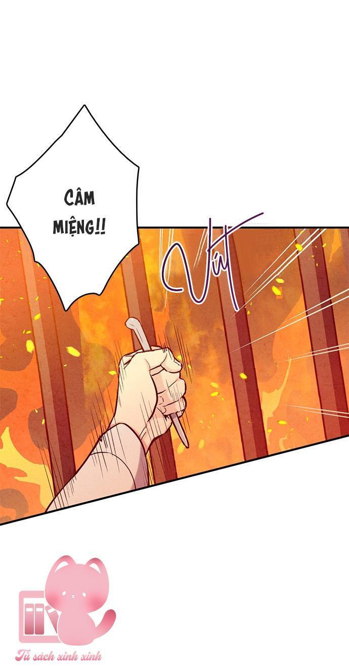 lệnh cấm hôn chapter 95 33