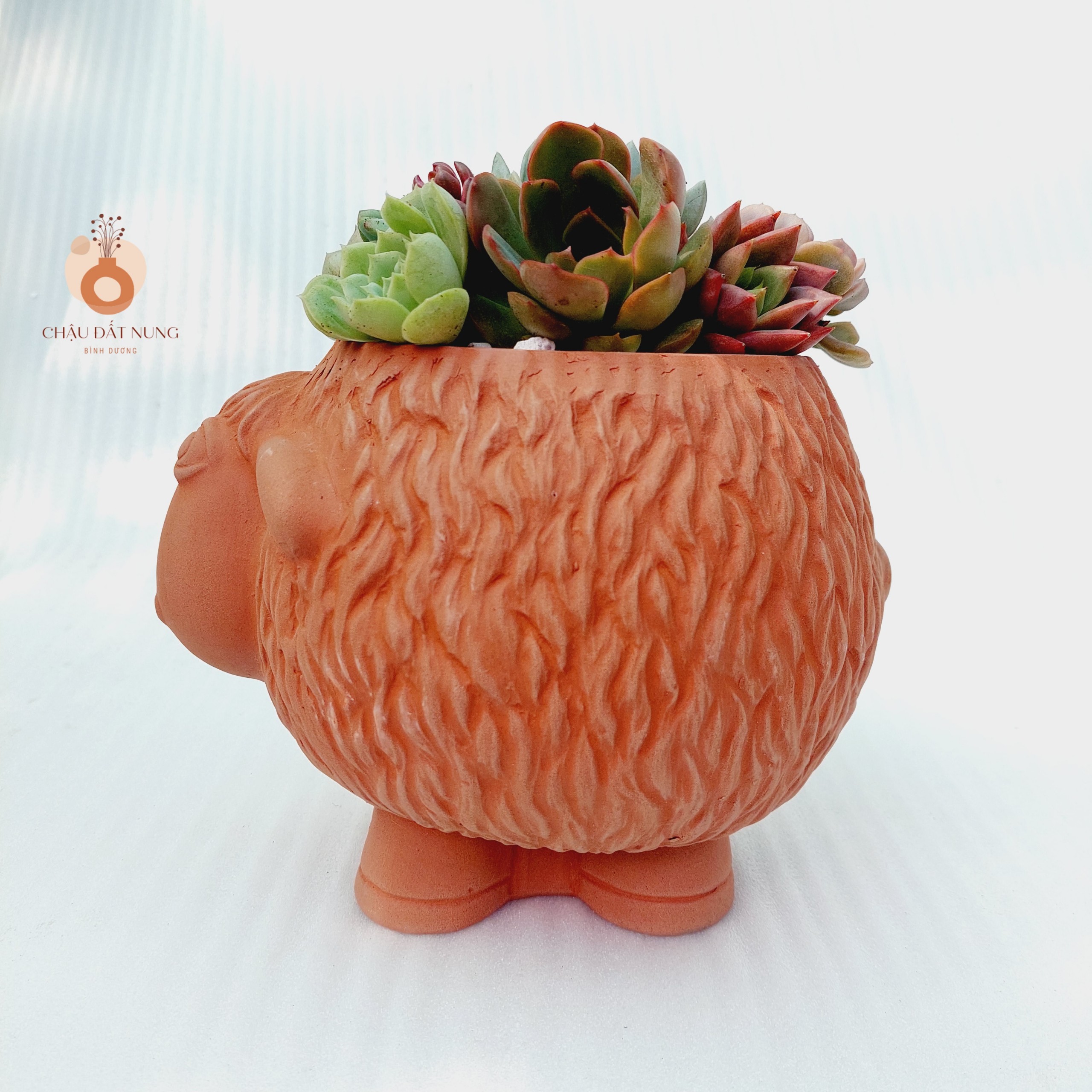 Chậu đất nung Bình Dương - Cừu Mập Heo, miệng chậu 12cm, chiều cao 17cm