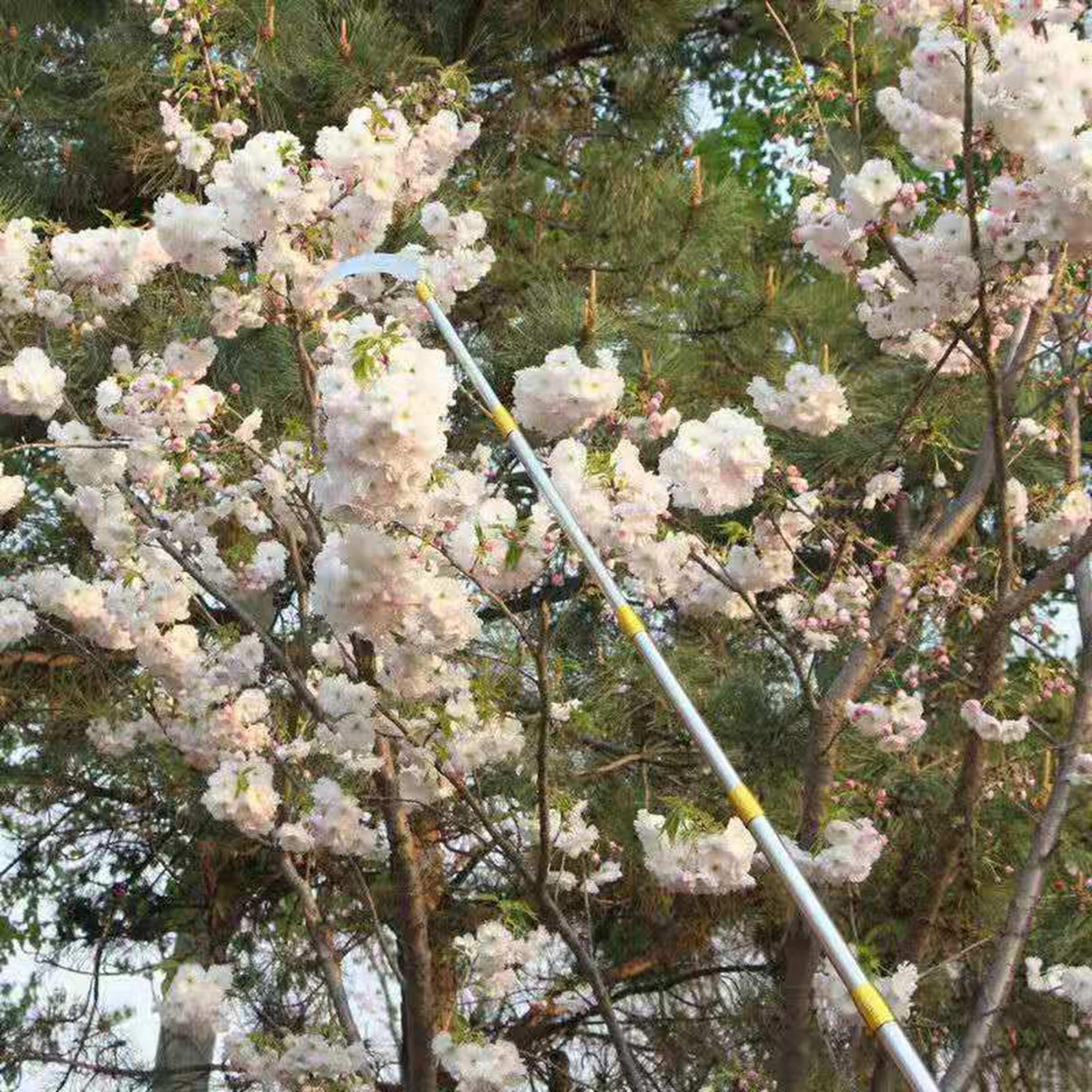 Fruit Picker Orchard Tool Garden Equipment Extendable Accs Fruit Picker Tool