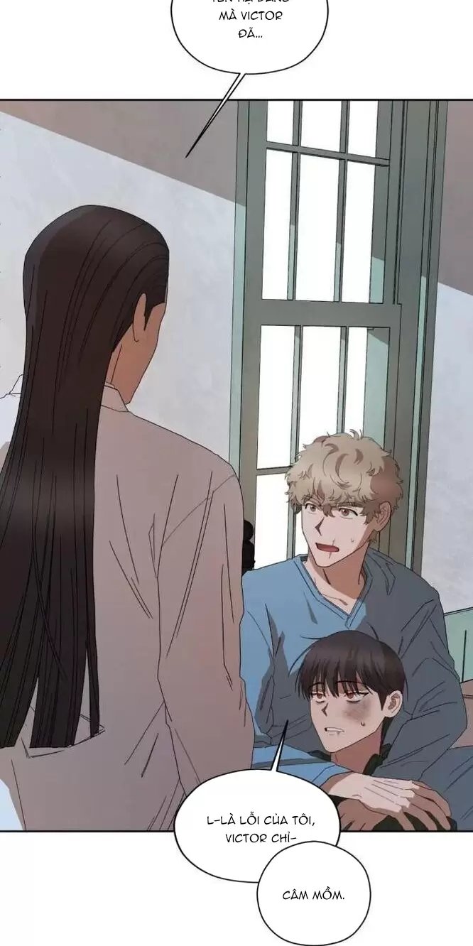 liveta chapter 31 37