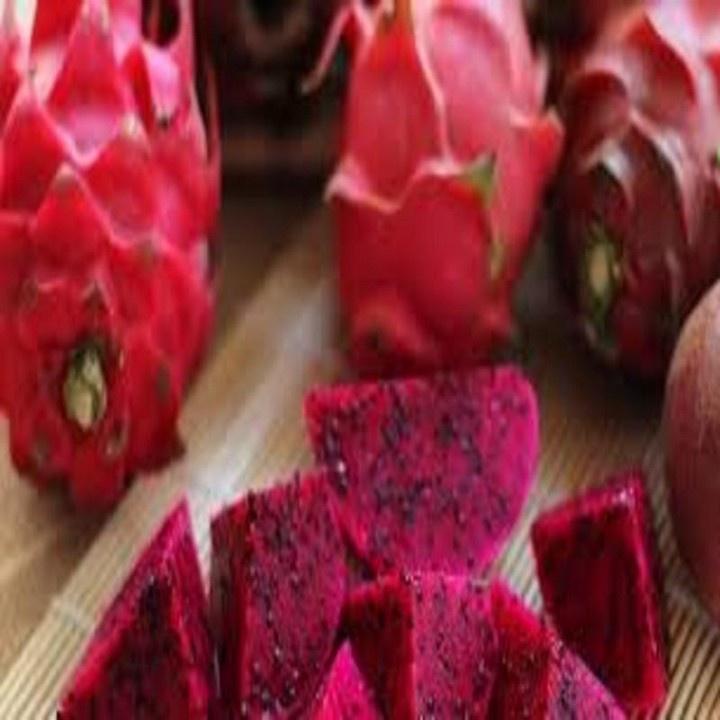 CÂY GIỐNG CÂY THANH LONG ĐỎ BÌNH THUẬN