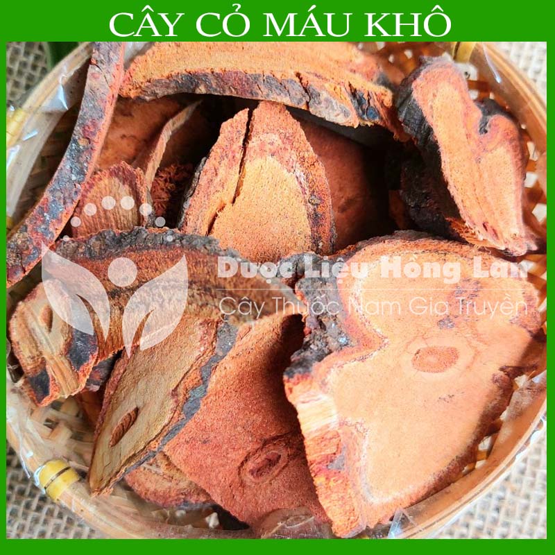 Cây Cỏ Máu khô sạch đóng gói 500gram