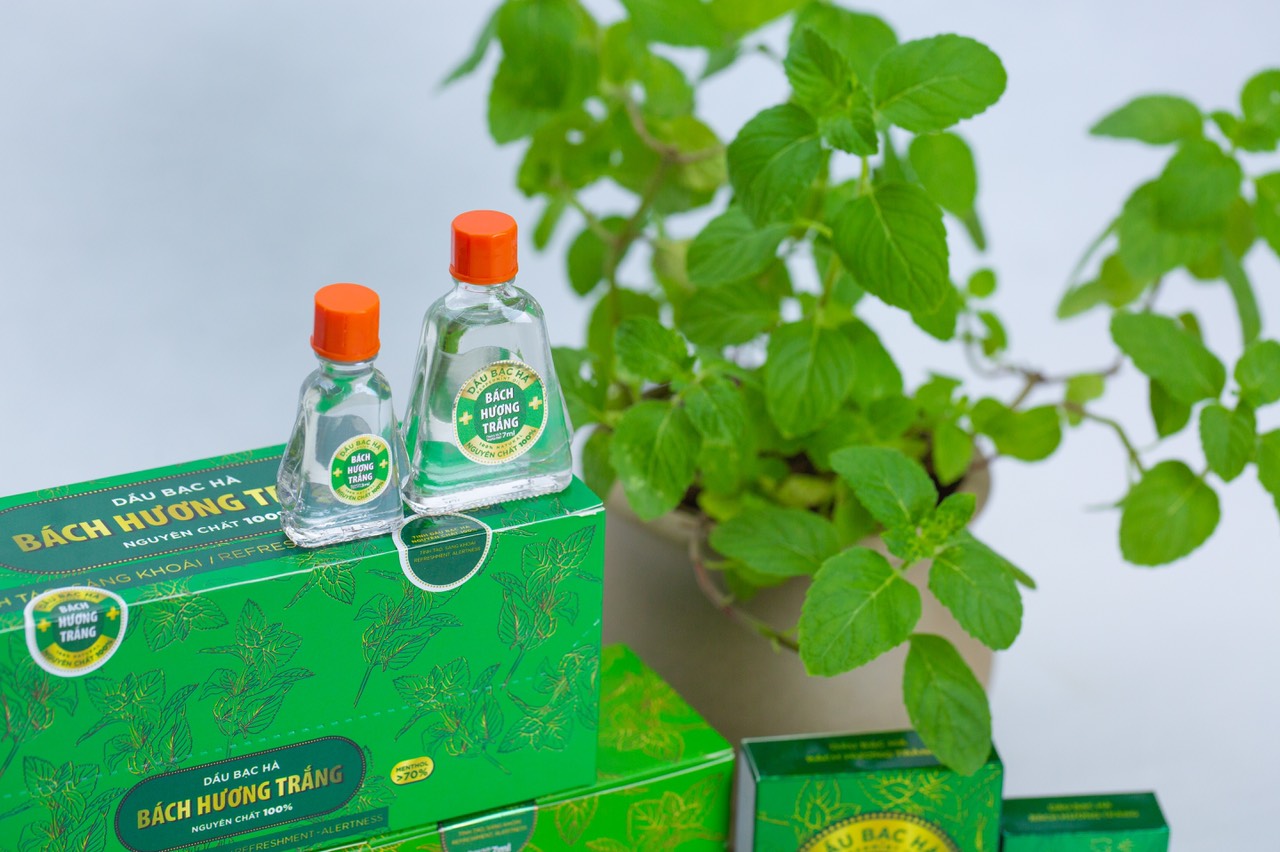 Tinh dầu Bách Hương Trắng, 3ml ,100% tinh dầu bạc hà thiên nhiên