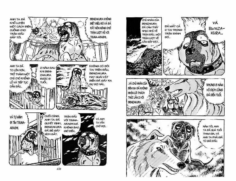 chú chó có nghĩa - ginga nagareboshi gin chapter 28 4