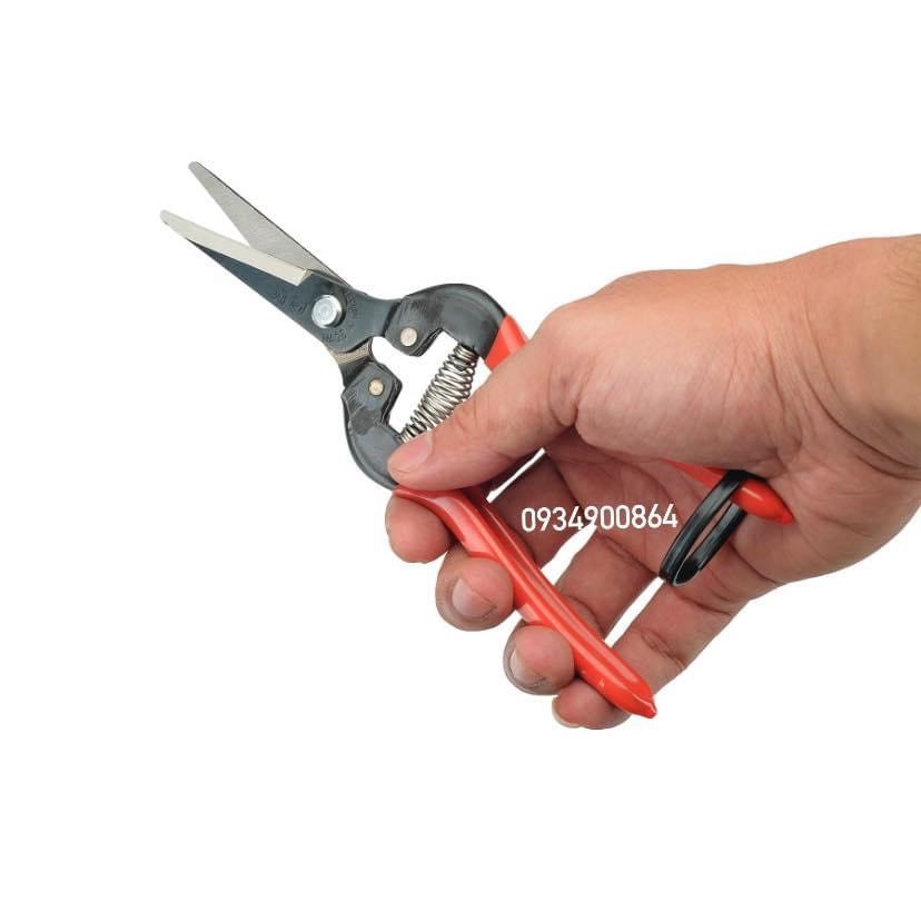 Kéo cắt cành Hàn Quốc P-170 chuyên dùng cắt tỉa cành cây, bonsai, hoa hồng