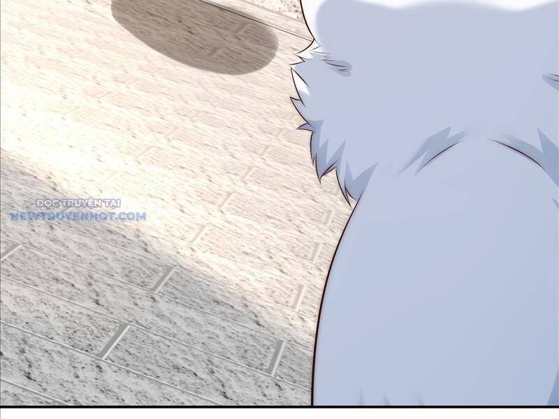 ta thực sự không muốn làm thần tiên chapter 21 70