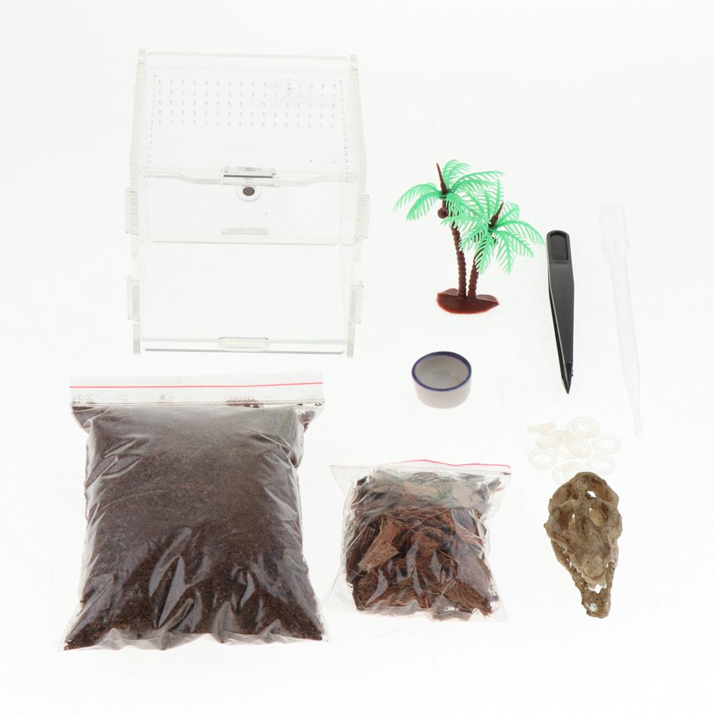 Reptile Turtle Tank Insect Spiders Breeding Box Tortoise Terrariums Black 1