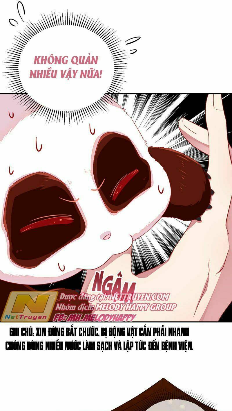 thiên thần gấu trúc muốn được ôm chapter 41 13