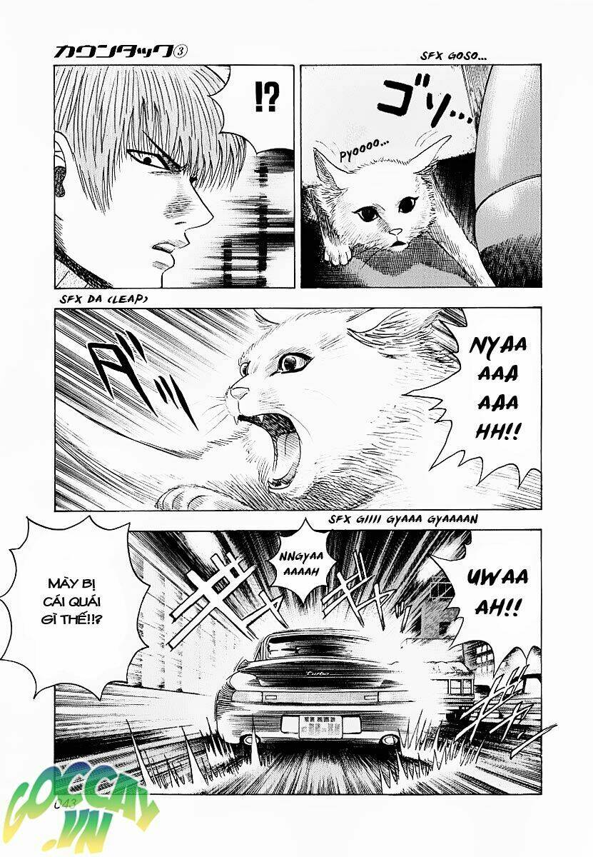 countach chapter 16.5 20