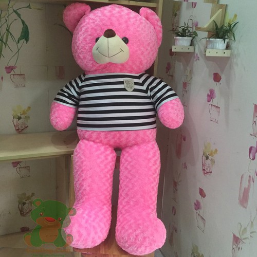 Gấu bông Teddy ICHIGO khổ vải 1m2 màu Hồng