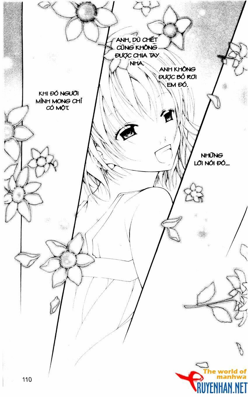 ngọc trong đá-ace chapter 15 12