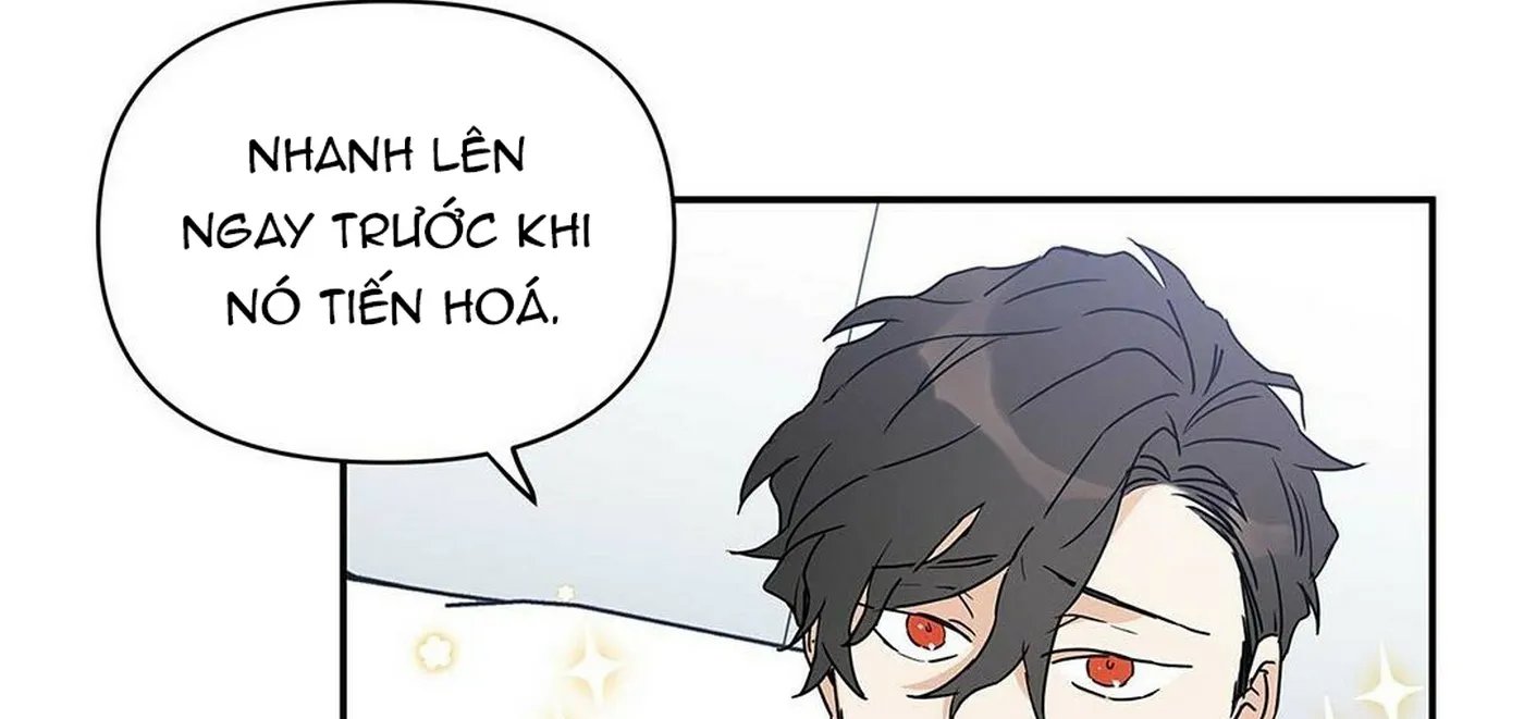 guide cấp b chapter 5 27