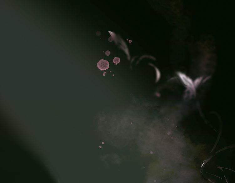 câu chuyện cổ tích của người mẹ kế chapter 0 1