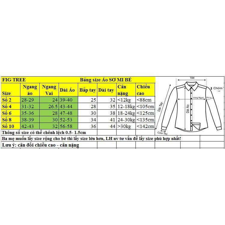 Áo gia đình màu xanh biển nhạt ( hàng FIG TREE đủ size, kèm cận cảnh)