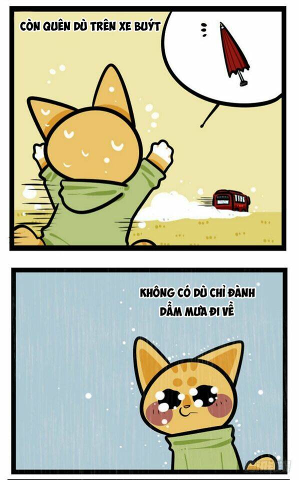 đời không như mình tưởng chapter 37 5