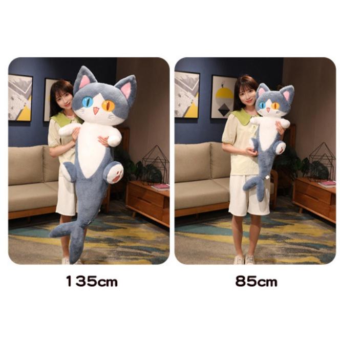 Gấu ôm cá mập mặt mèo cute / Mèo cá mập đủ size, siêu mềm mịn