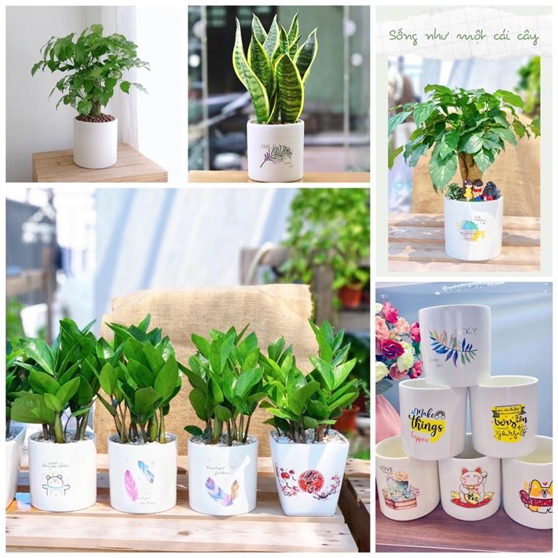 Chậu Trụ Trồng Cây Cảnh MiNi Đủ Size Sẵn Hàng