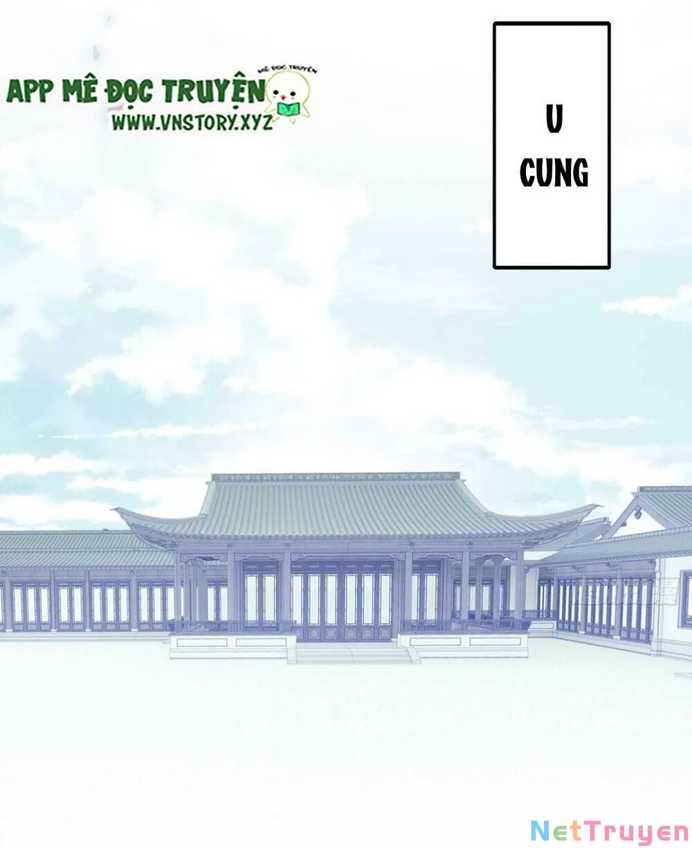 lại bị bệnh chiều chuộng quấn lấy chapter 66 8