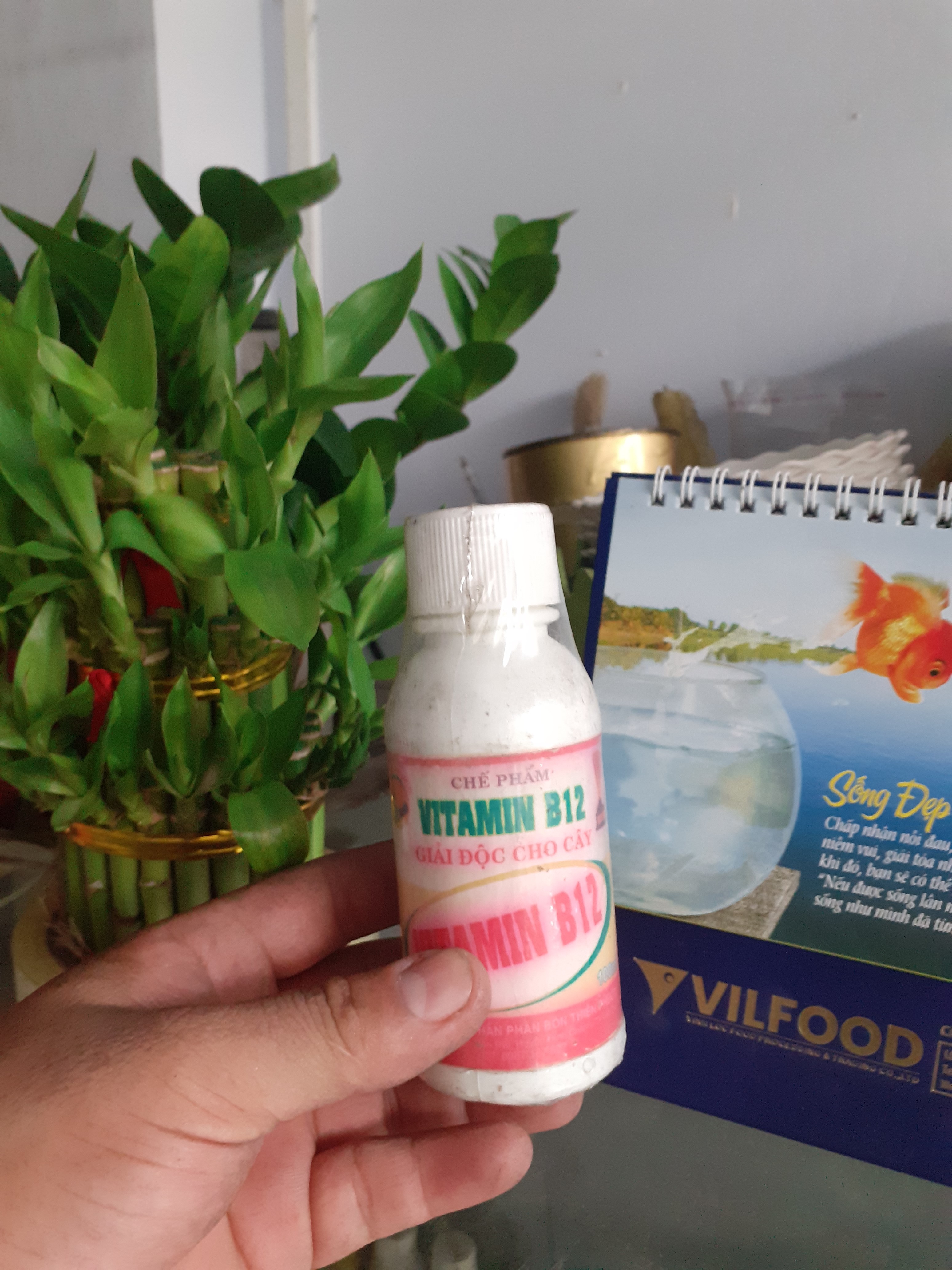 Chế phẩm giải độc cho cây Vitamin B12