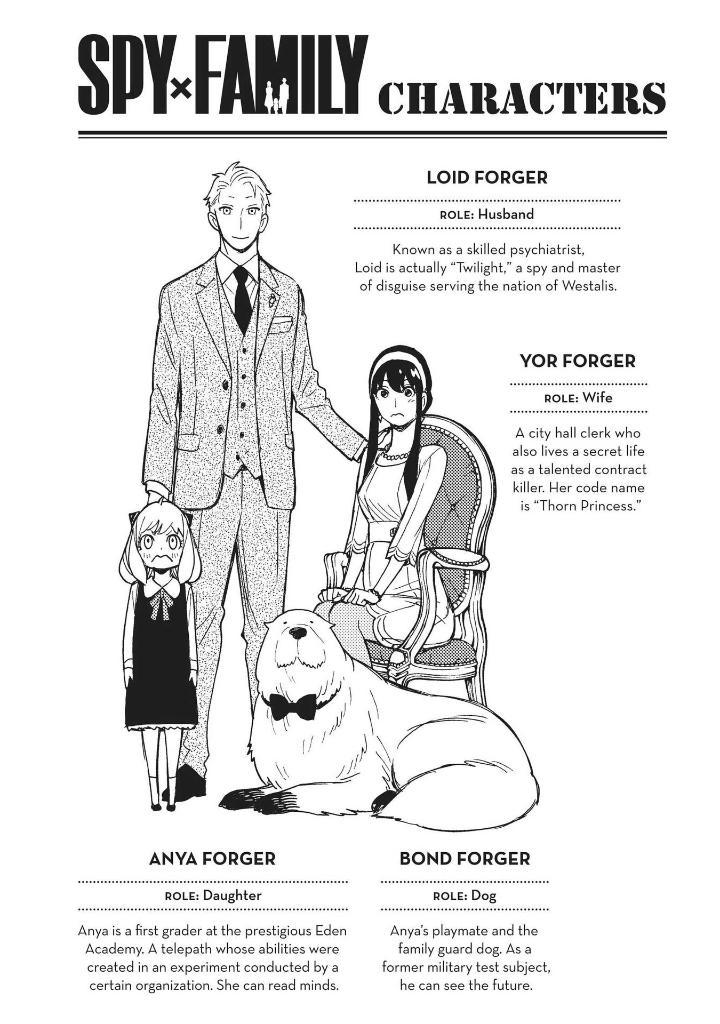 Sách ngoại văn: Spy X Family 13 (English Edition)