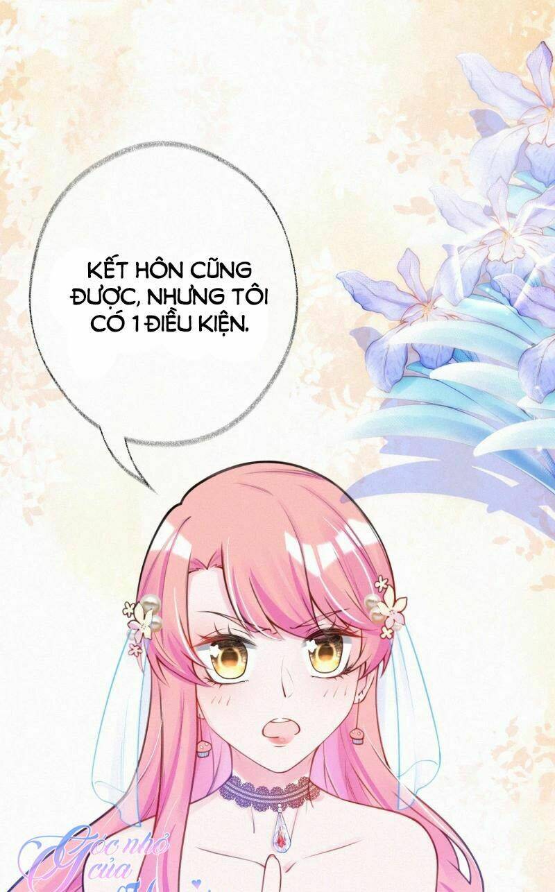 mami đột kích, thiên tài manh bảo khốc daddy chapter 4 37