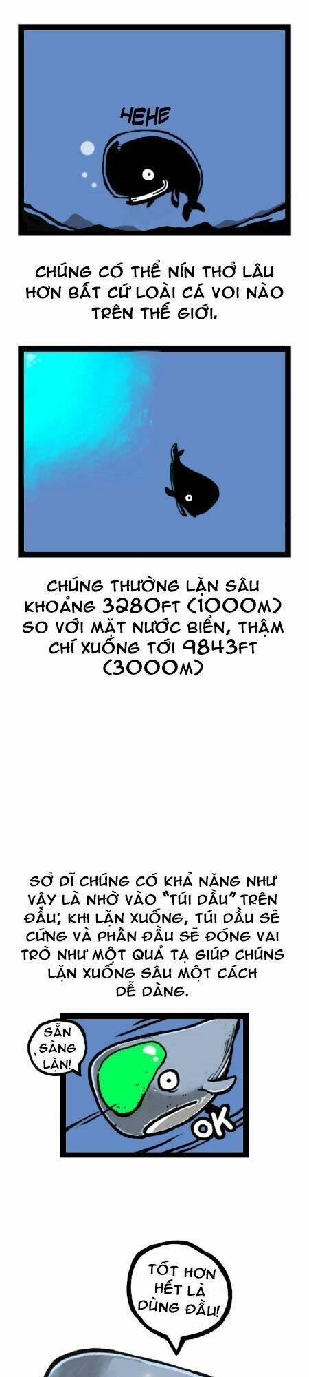 earth, human, and animal chapter 13 7