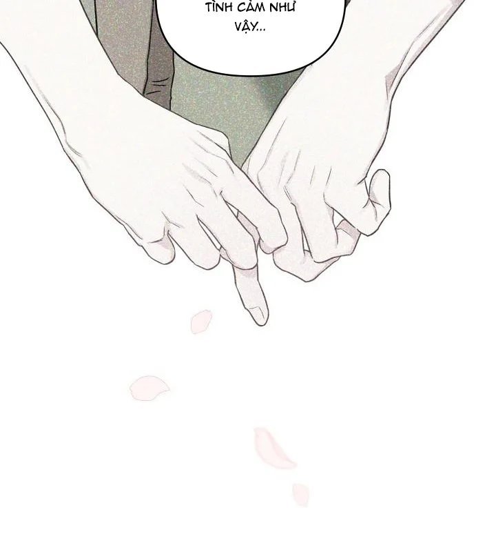 thần tượng đến rồi!? chapter 39 14