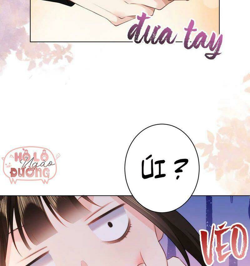 quận chúa vững vàng, thiết lập nhân vật không thể vỡ chapter 34 7