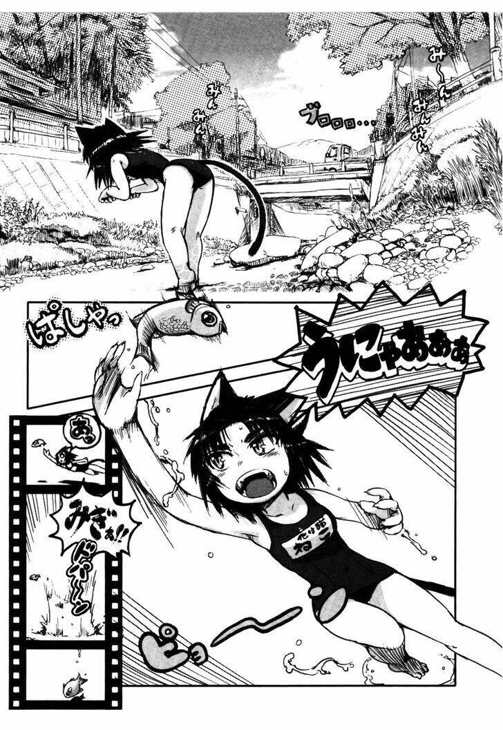 neko musume michikusa nikki chapter 5.5 3