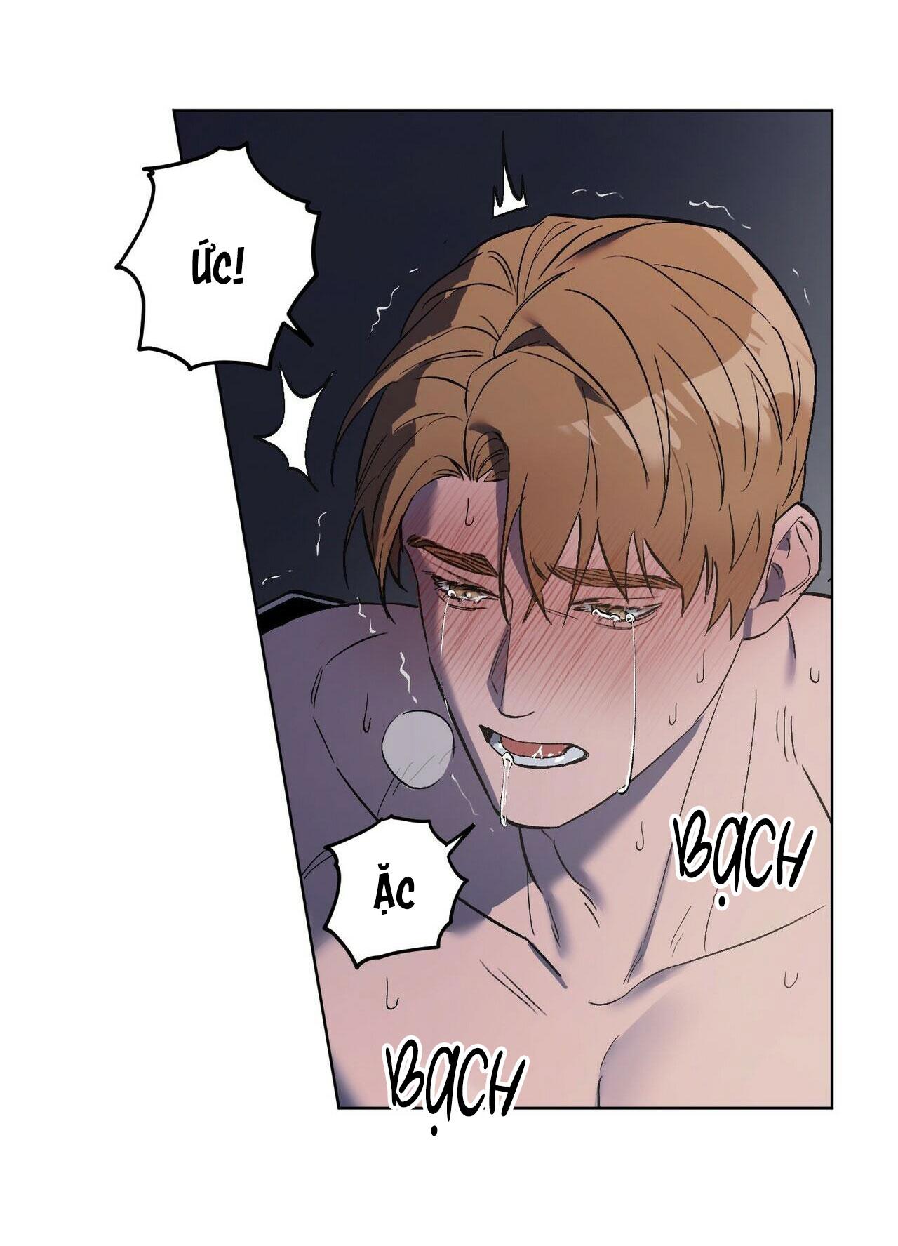 làm dâu nhà tài phiệt họ kang chapter 23 17