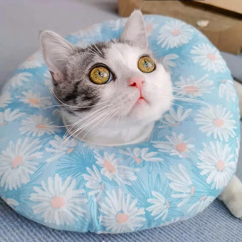 VÒNG CỔ THÚ CƯNG VÒNG CỔ LOA CHỐNG LIẾM CHO THỎ CHÓ MÈO TỪ 0.1-8KG MÃ 14 CHO CHÓ MÈO THỎ