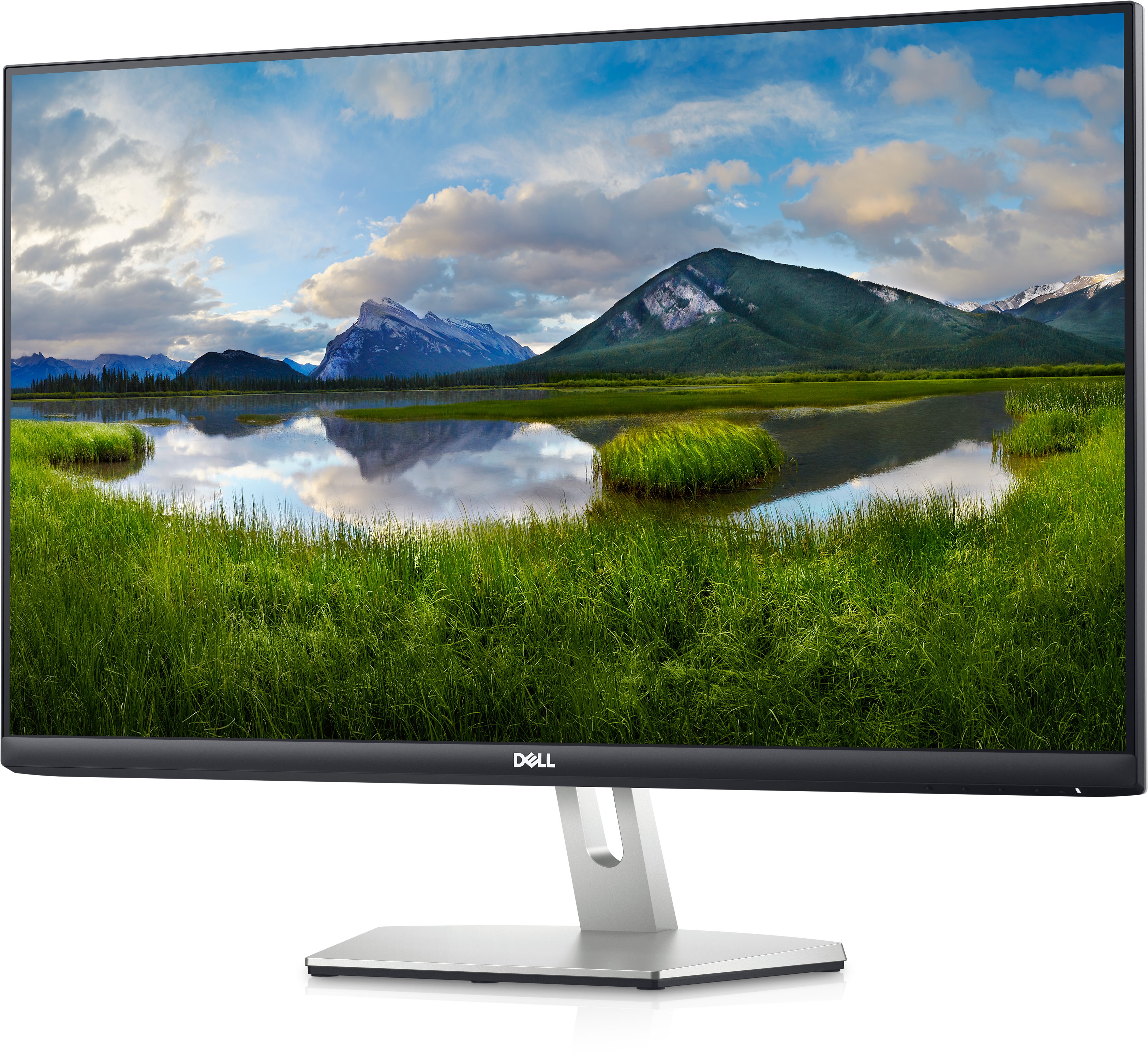 Màn Hình Dell S2721HN 27 inch Full HD 75Hz - Hàng Chính Hãng