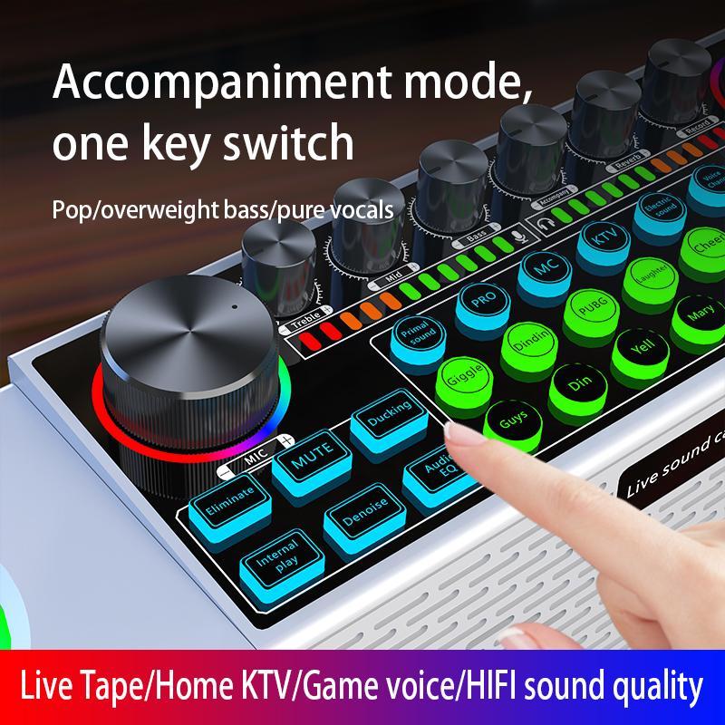 Thiết bị thẻ âm thanh phát sóng trực tiếp đặc biệt Loa Bluetooth không dây đa chức năng Máy đa năng Family KTV Color: Dual mic set