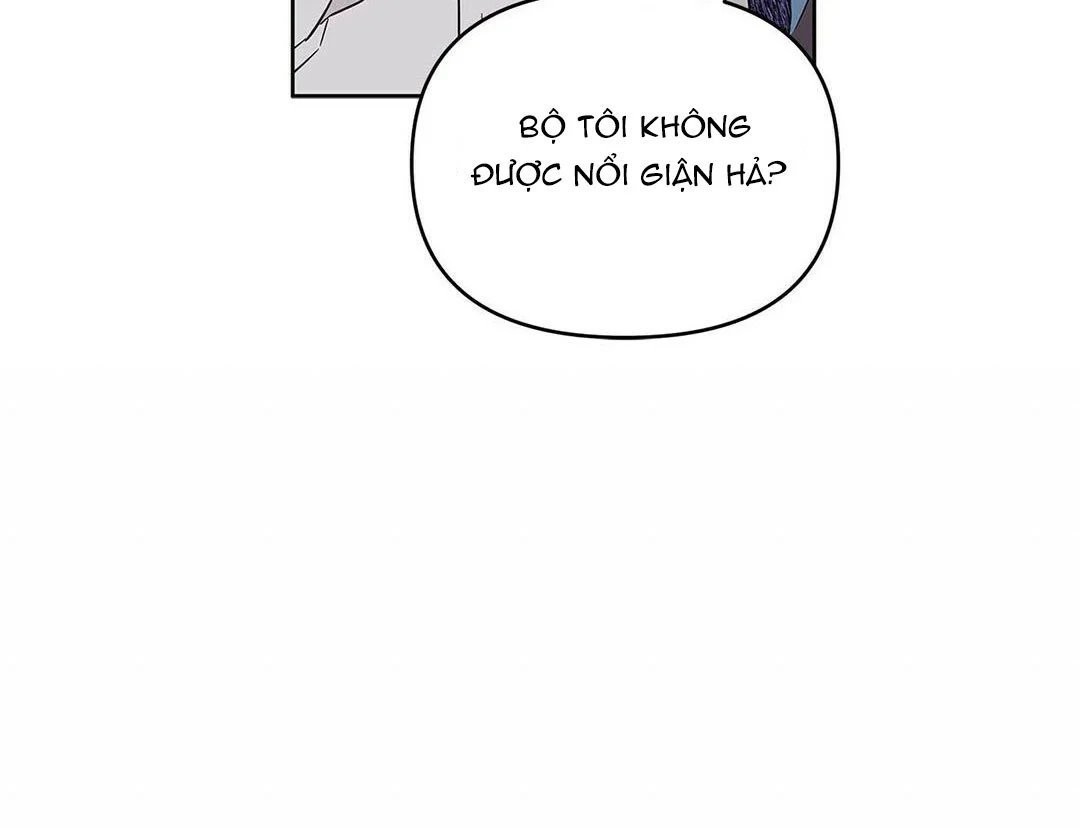 guide cấp b chapter 19 21