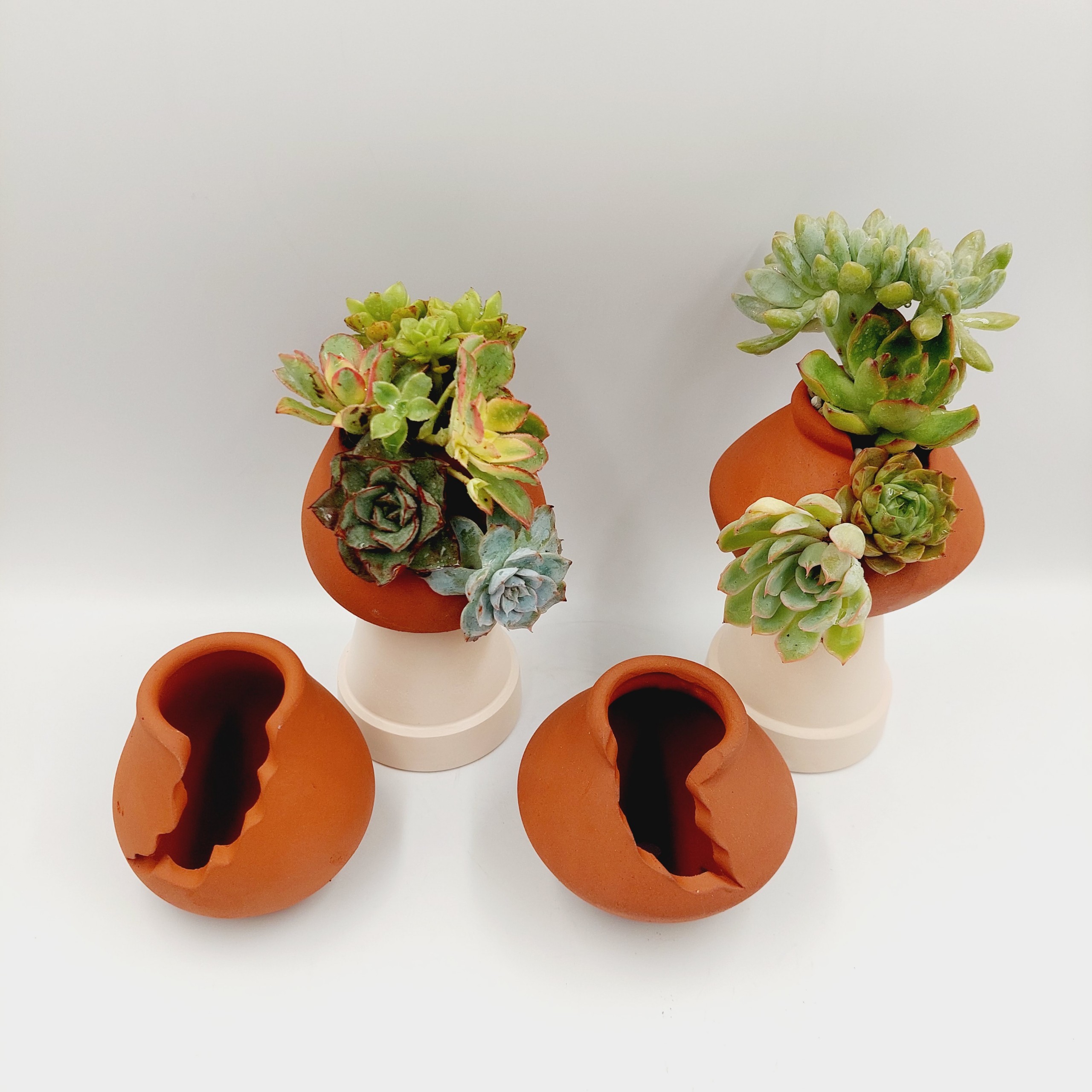 Chậu đất nung, chậu sen đá - Bình vôi dễ thương 48, miệng chậu 4cm, chiều cao 8cm