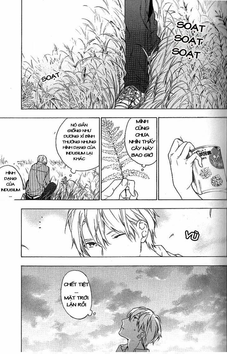 only the flower knows chapter 4 24