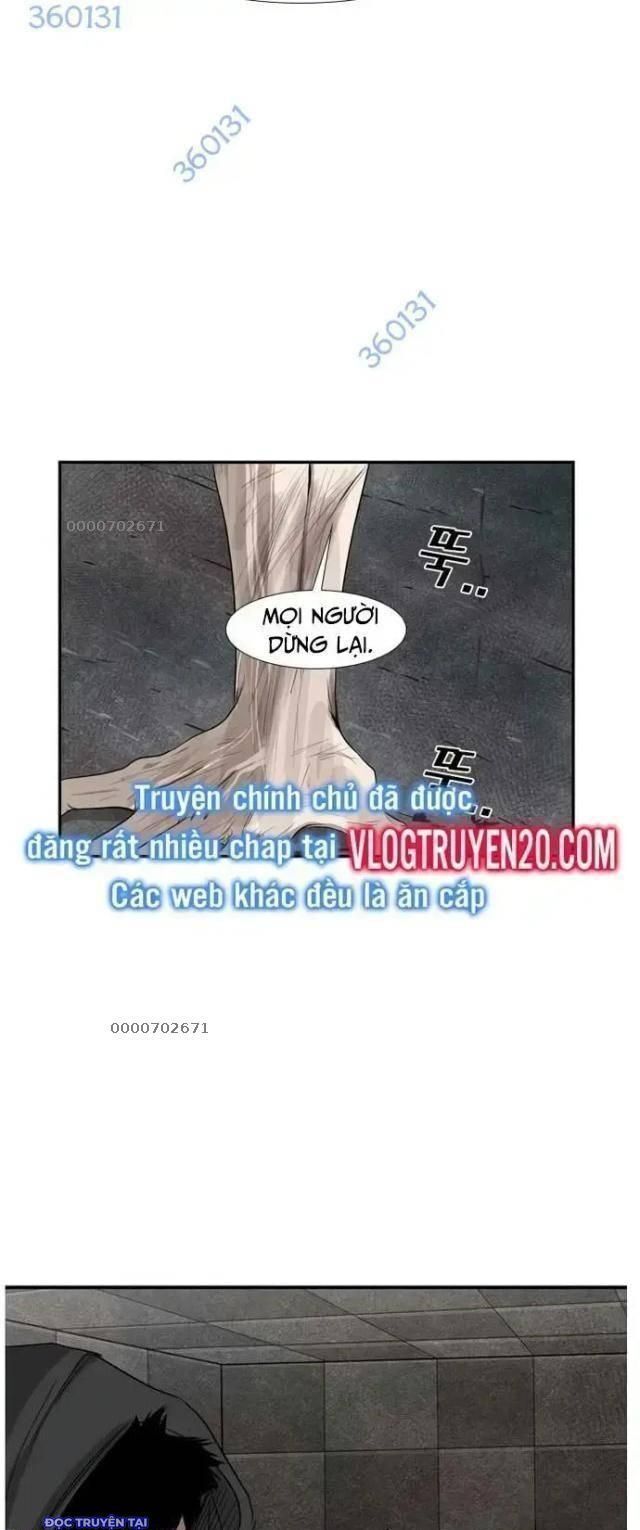 shark - cá mập chapter 88 29