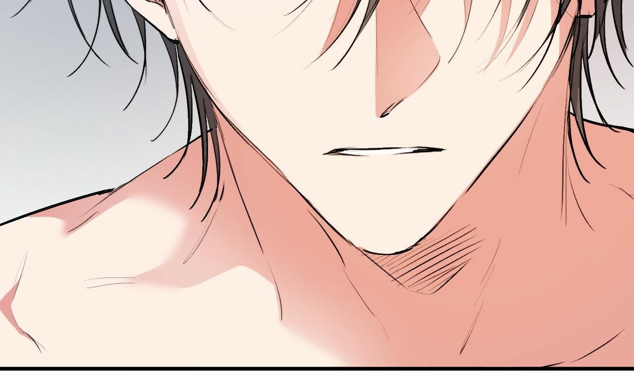 đàn thỏ của habibi chapter 41 233