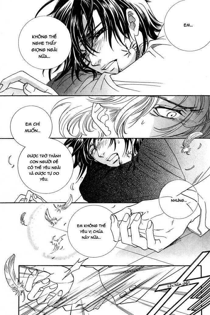 innocent bird chapter 12 16