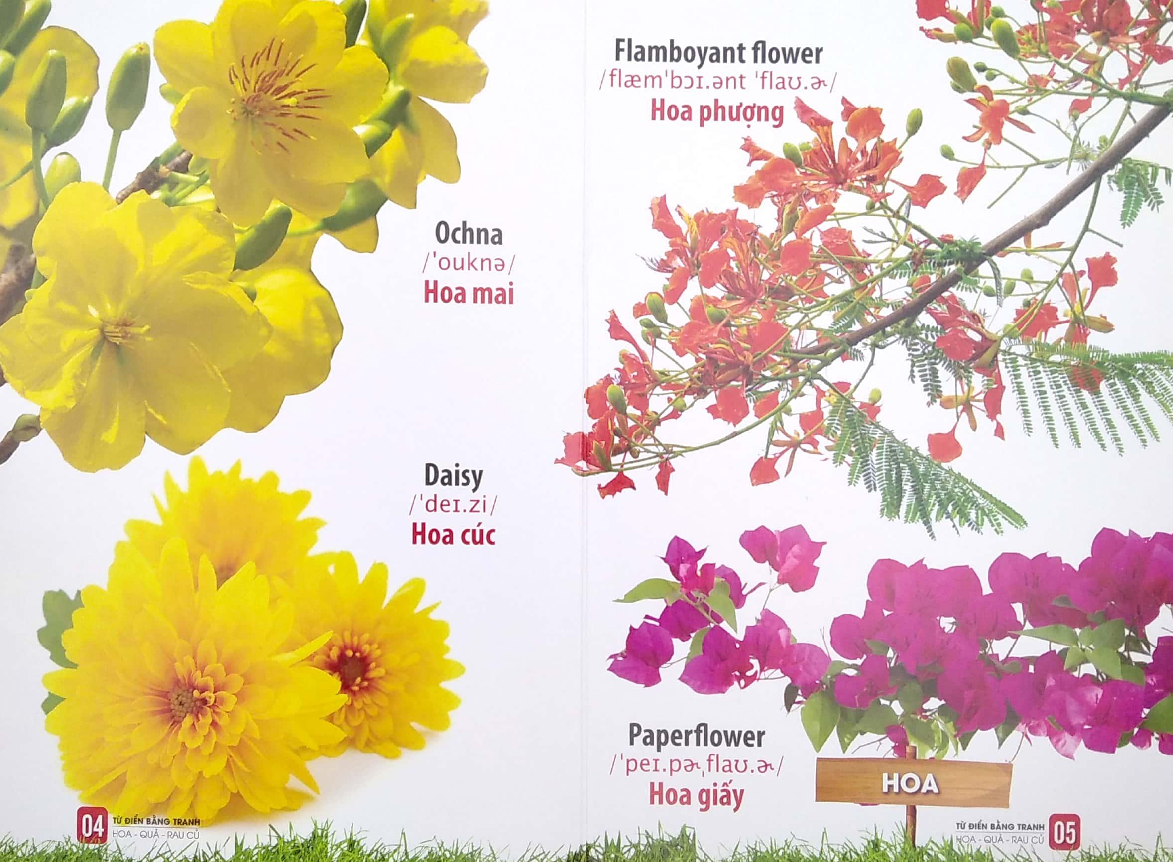 Bộ Sách Từ Điển Bằng Tranh: Hoa, Quả, Rau Củ - Chữ Cái Và Số Đếm - Phương Tiện Giao Thông