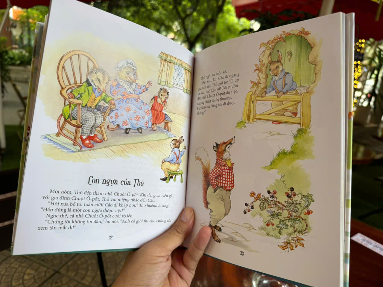 (Combo 2 Cuốn, Bìa Cứng, In Màu) TRUYỆN VỀ CHÚ THỎ MƯU MẸO, GIÓ VỜN TRONG LIỄU - NXB Kim Đồng