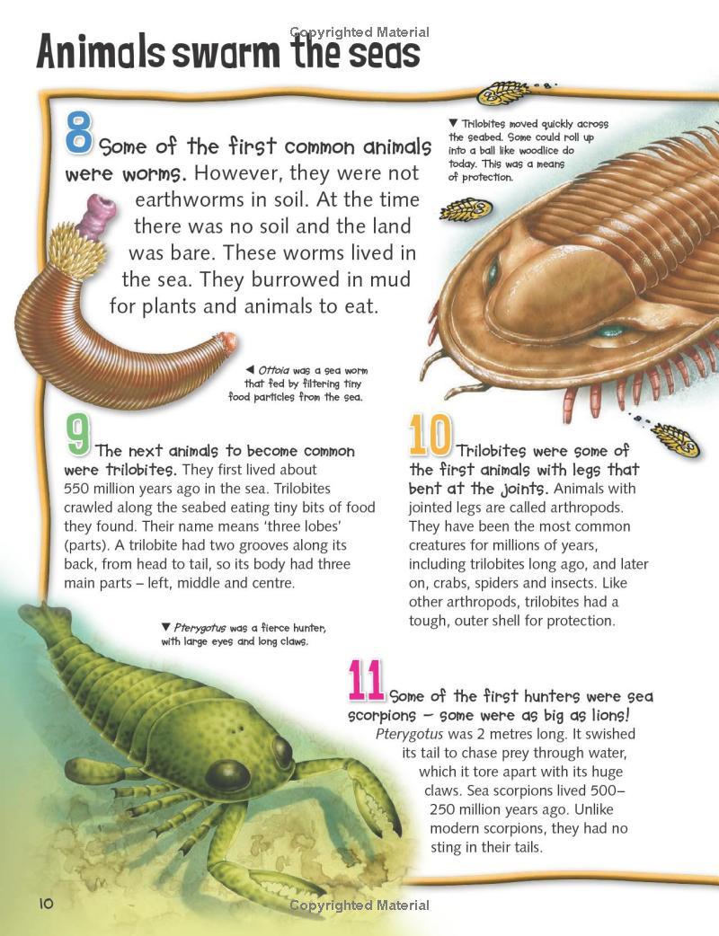 Sách ngoại văn: Wild About Dinosaurs