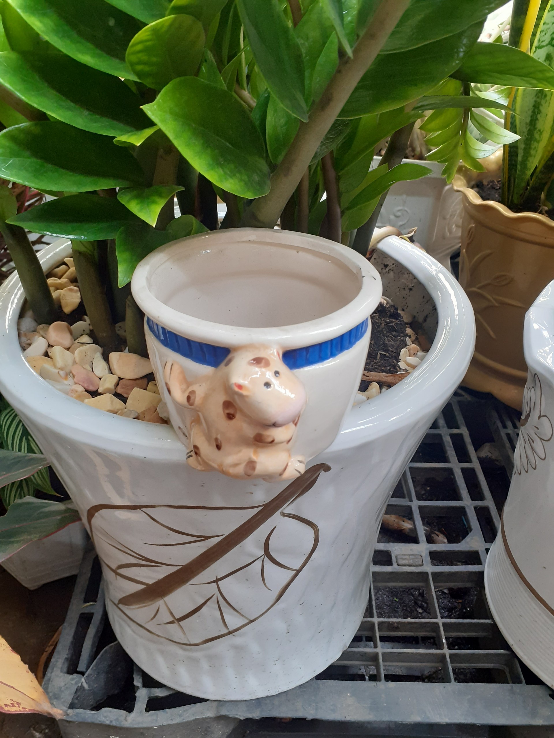 *** Chậu bé bò vàng trồng cây xinh xắn dễ thương ***