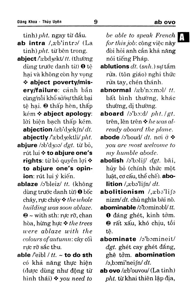 Sách - Từ Điển Anh - Việt (Khoảng 61.000 Từ)