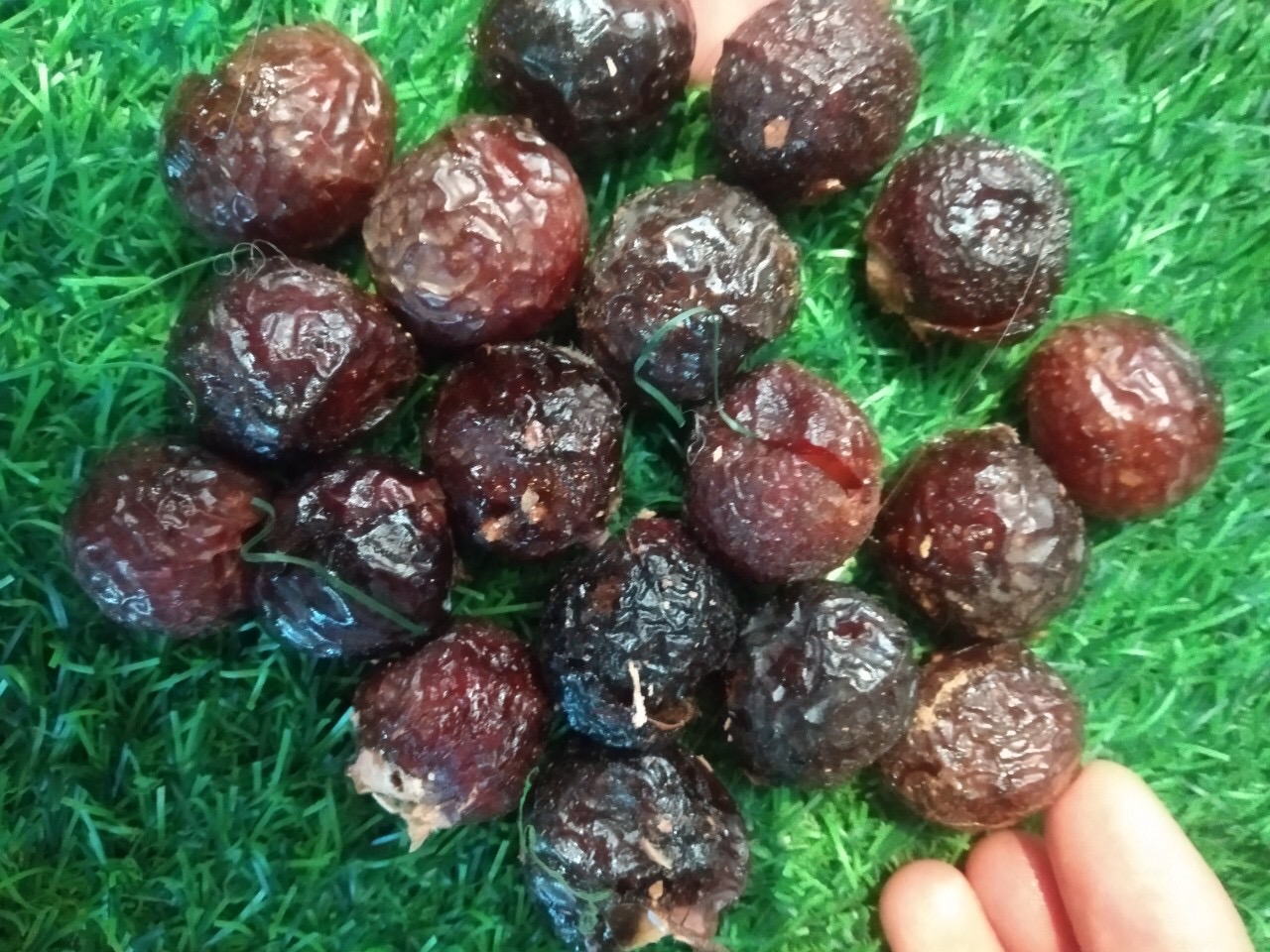 Quả bồ hòn chưa tách hạt 2 Kg