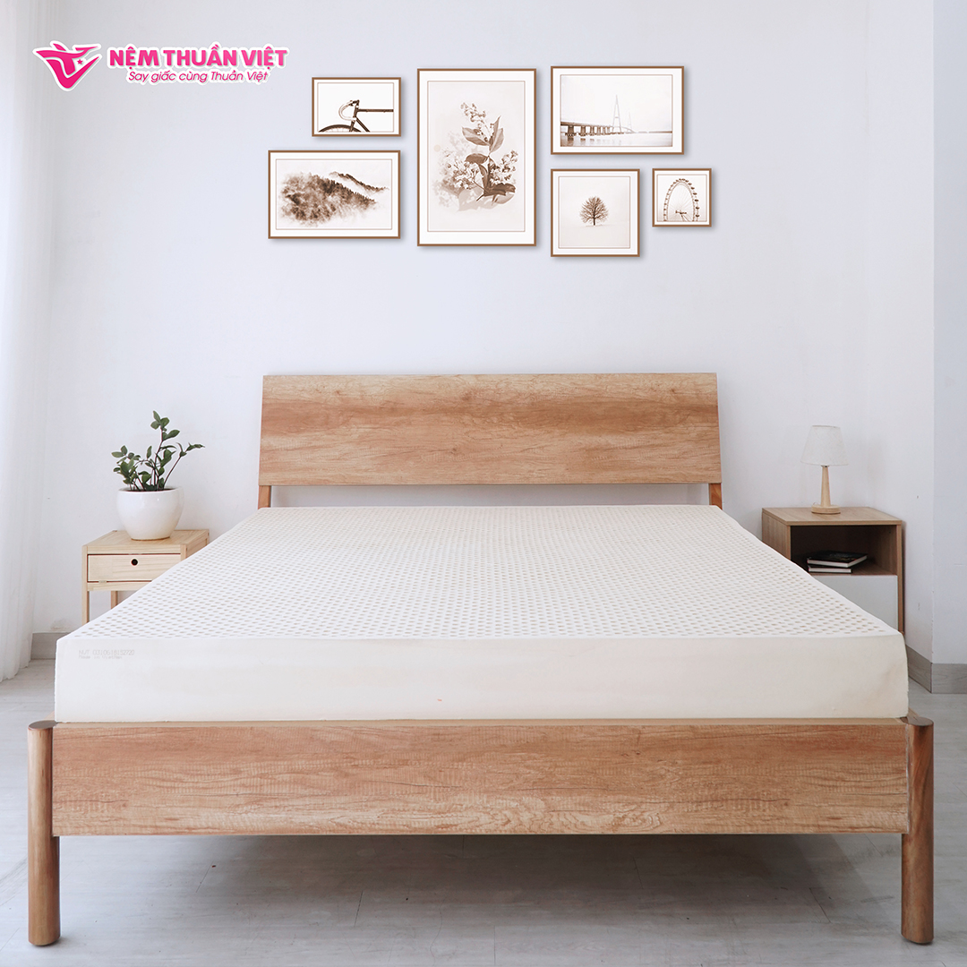 Nệm Cao Su Thuần Việt Legacy Định Hình, Nâng Đỡ Cơ Thể Vượt Trội