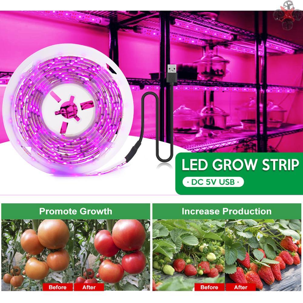 Cuộn Dây Đèn Led Trồng Cây Trong Nhà 5m 2835 Smd Dc5V