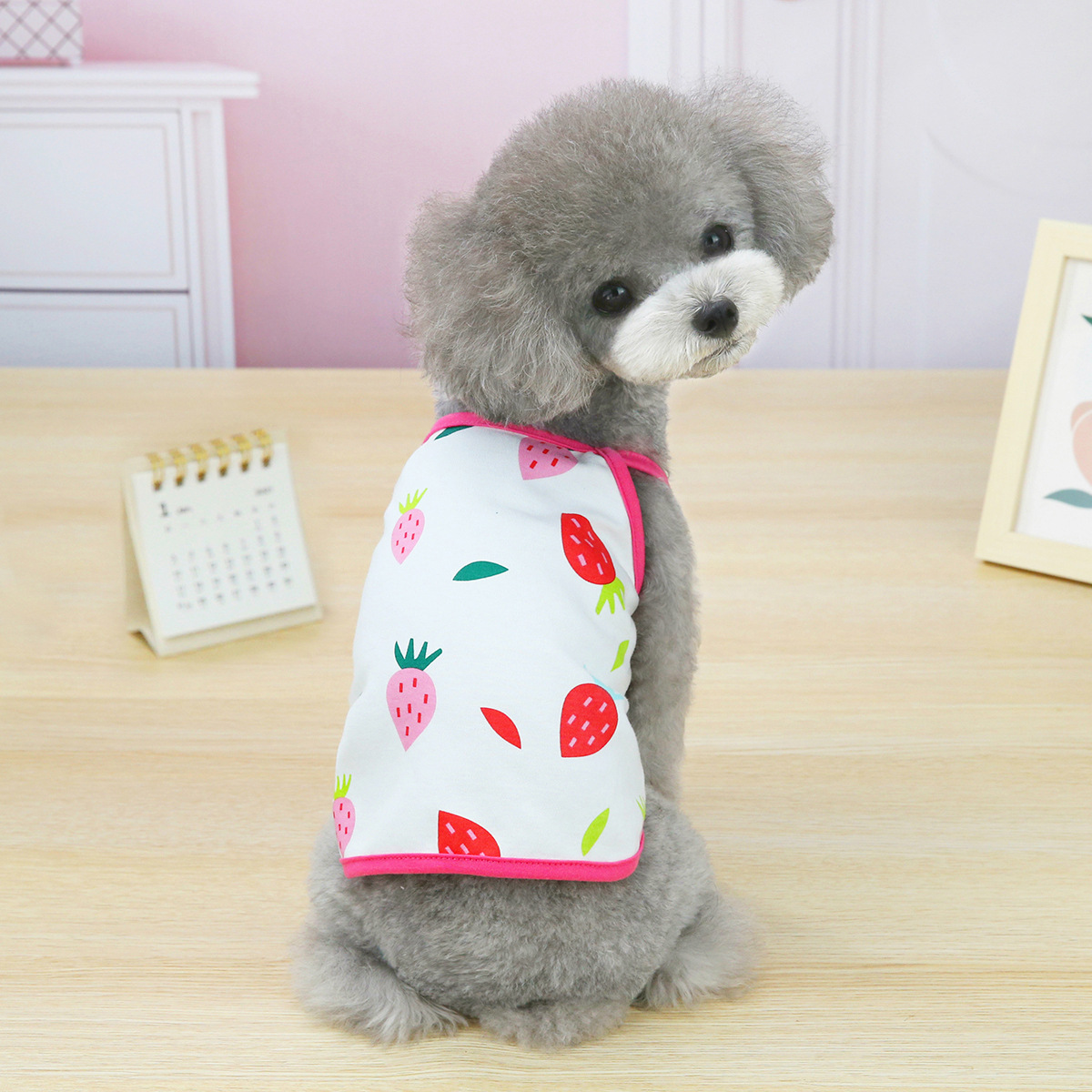 Áo hai dây ba lỗ thoáng mát cho chó mèo - Genyo pet clothes 085 ( các màu và mẫu giao ngẫu nhiên như trong hình )